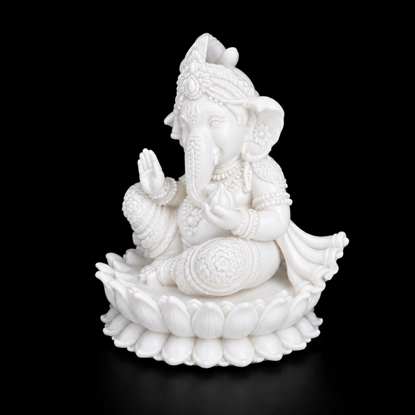 Blessings for your home mandir đĄ